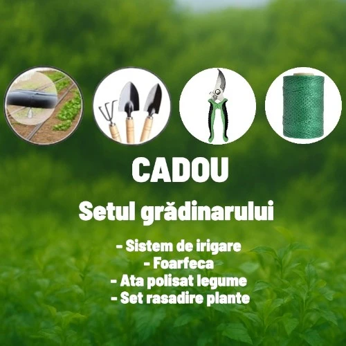 Seră de grădină Demetra 8×3×2 m