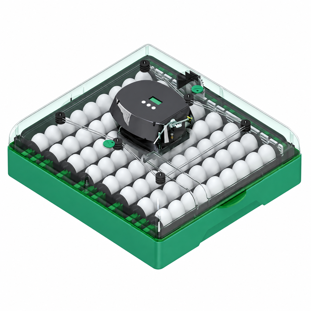 Incubator pentru ouă Demetra EU PROFI C-72, 72 ouă, 220 V