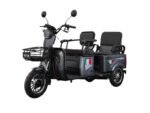Triciclu electric FUXING 1000W-60V