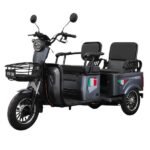 Triciclu electric FUXING 1000W-60V