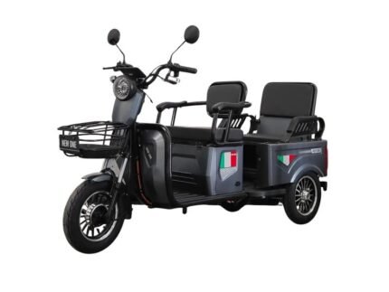 Triciclu electric FUXING 1000W-60V