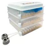 Incubator pentru oua Demetra DM-176