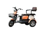 Triciclu electric New One HN-N7 650W