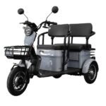 Triciclu electric C20 1000W-60V gri