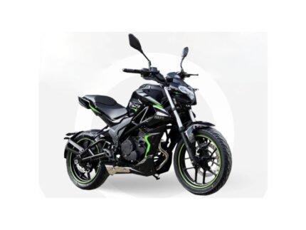 Motocicleta Rato Puma II 250 cc