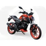 Motocicleta Rato Puma S 180 cc