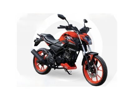 Motocicleta Rato Puma S 180 cc