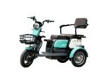Triciclu electric New One HN-N7 650W green