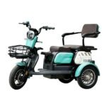 Triciclu electric New One HN-N7 650W green