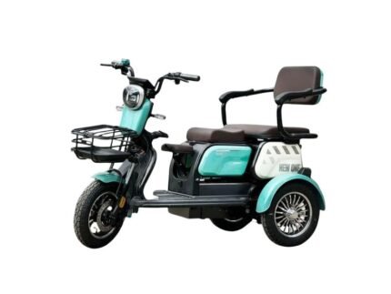 Triciclu electric New One HN-N7 650W green