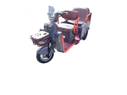 Triciclu electric New One CS9 1000 W
